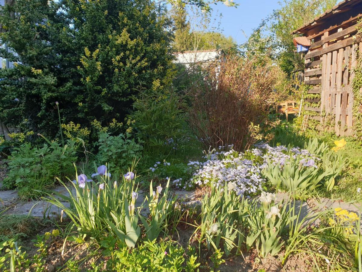 Unser Obervolkacher Ferienhaus-einfach gemütlich! Exterior foto